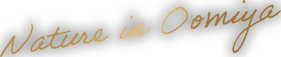 Nature in Oomiya